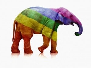 Rainbow-elephant-1