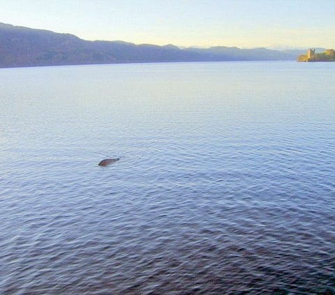 Lochness