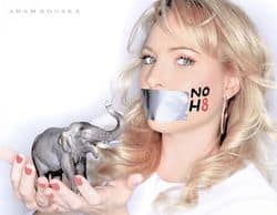 Meghan-mccain-no-h8-proposition-8