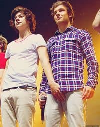 One-direction-harry-styles-and-liam-payne-crotch-grab