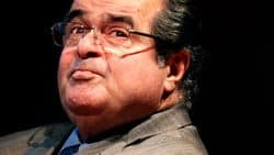 Scalia