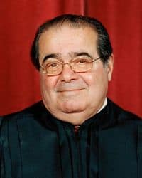 A_scalia