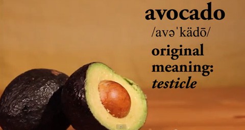 Avocado