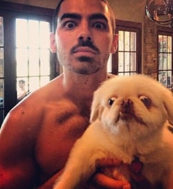 Joe_jonas