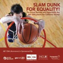 Slam Dunk for Equality