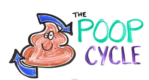 Poopcycle