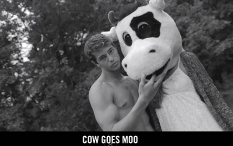 Moo