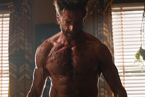 Wolverine