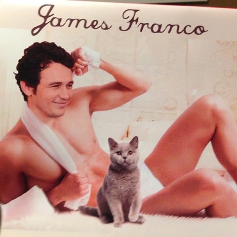 2_cat_franco