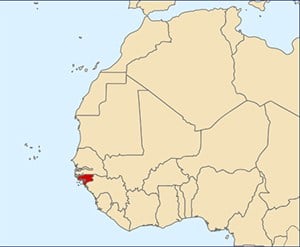 Guinea