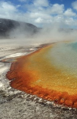 Yellowstone