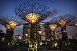 Singapore supertrees