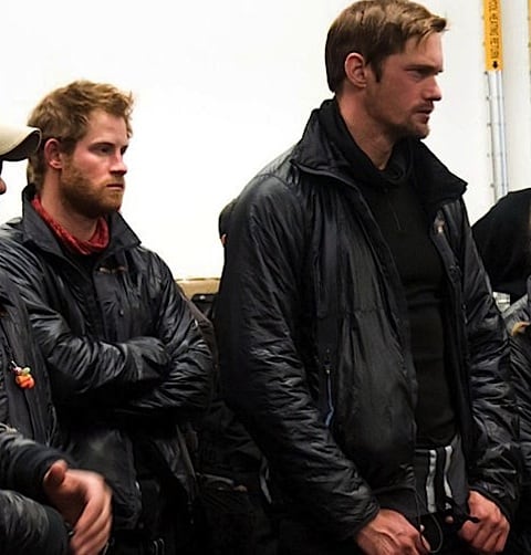 Beard_harry