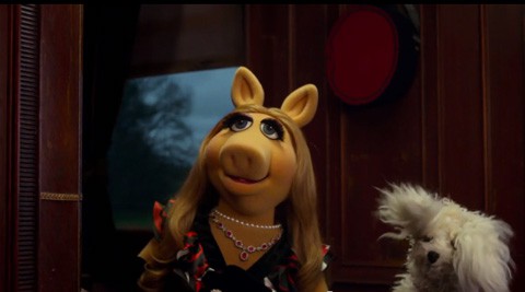 Misspiggy