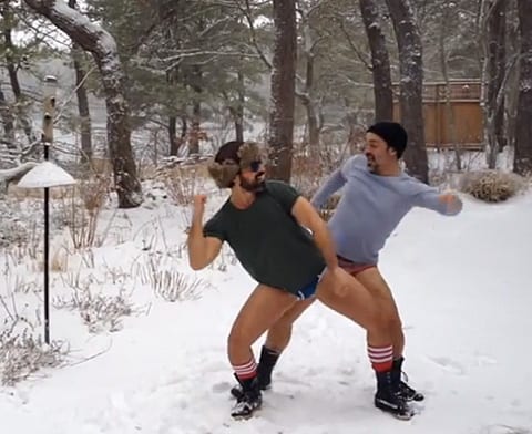 Snowbears