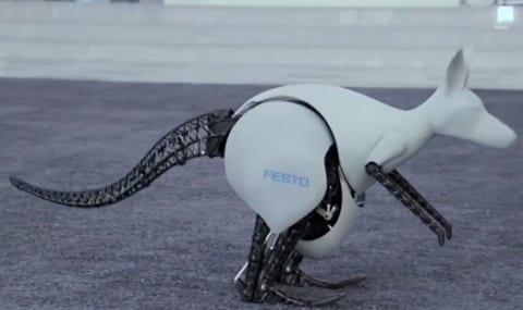 Robot_kangaroo
