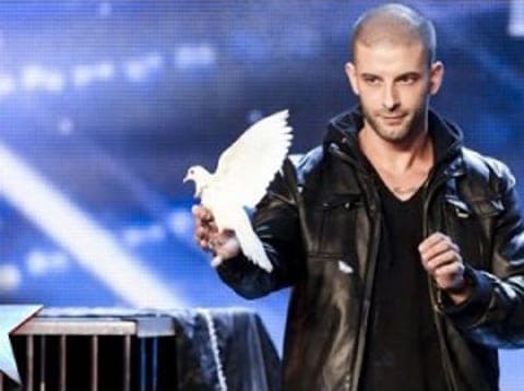Darcy_oake_2