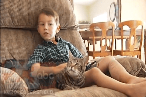 Boy_cat
