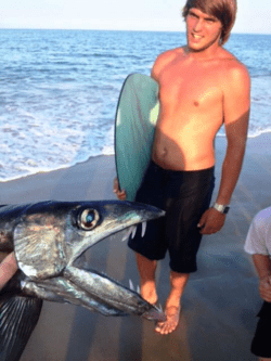 2_lancetfish