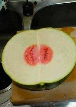 Watermelon