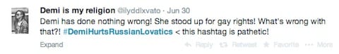 Fan stands up for lovato