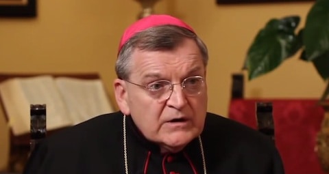 Cardinal Raymond Burke