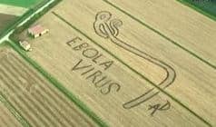 Ebola
