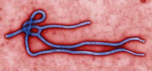 About-ebola