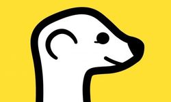 Meerkat