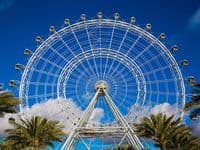 Orlandoeye