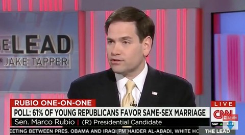 Tapper_rubio
