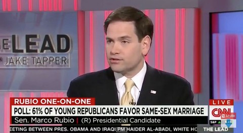 Tapper_rubio