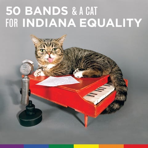 50-bands-and-a-cat-COVER