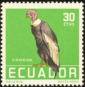 Stamp_Ecuador_1958_30c_Andean_Condor