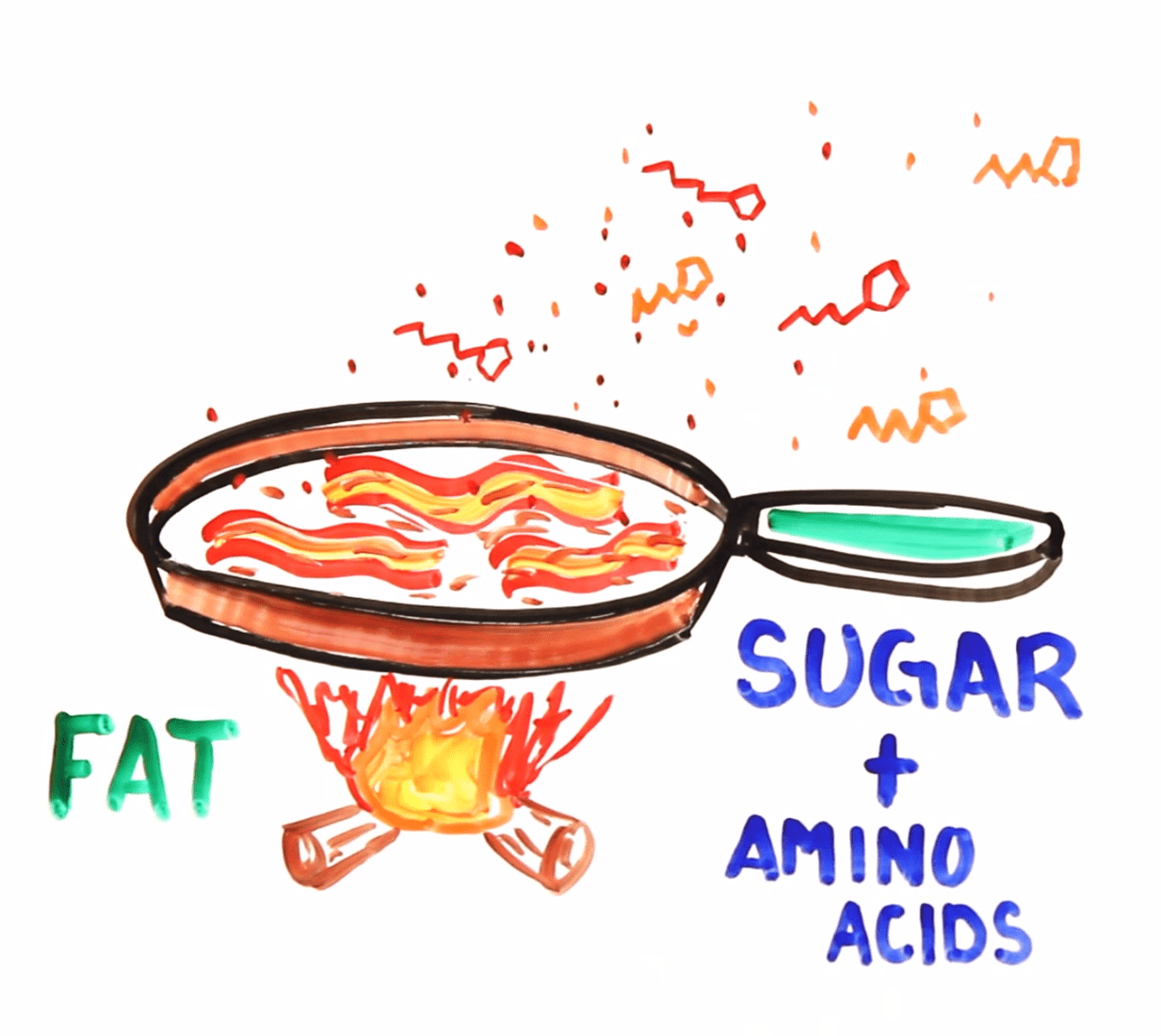 ASAPScience on Bacon