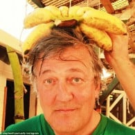 Stephen Fry