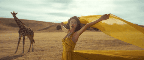 taylor swift, wildest dreams