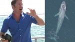 Steve Backshall blue whale