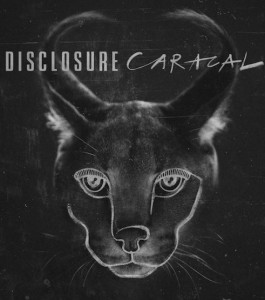 Disclosure Caracal