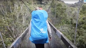 suspension bridge