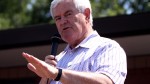 newt gingrich