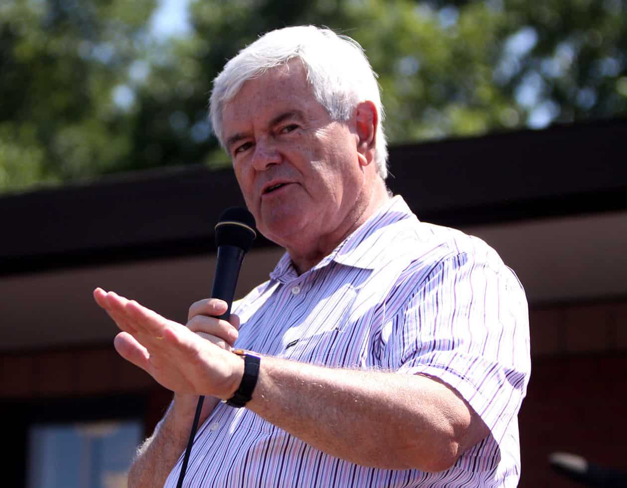 newt gingrich