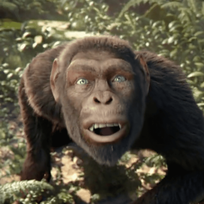 coldplay apes