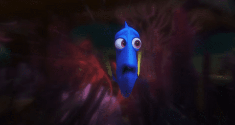 finding dory