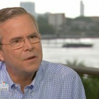 jeb bush