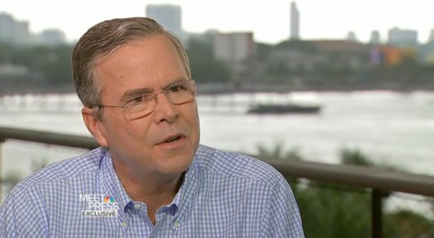 jeb bush