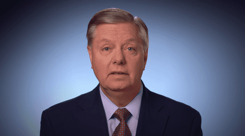 lindsey graham