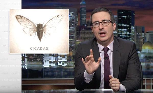 Cicadas John Oliver