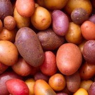 potatoes