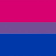 Bi_flag